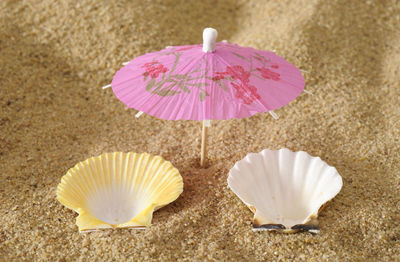 Close-up of umbrella on beach