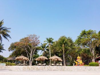 Palm trees on beach against clear blue sky