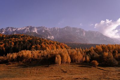 Scenic view of landscape against sky during autumn