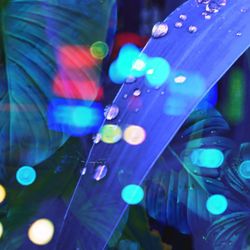 Defocused image of illuminated lights