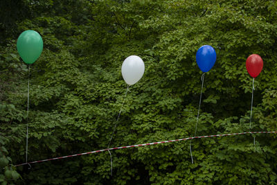 Multi colored balloons against trees