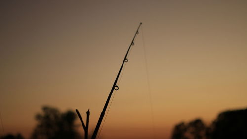 Close-up of silhouette plant against sky during sunset