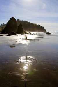 Scenic view of beach against sky