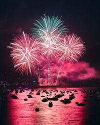 Firework display at night