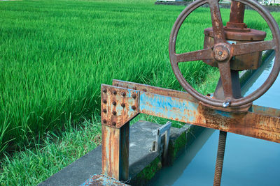 Old rusty wheel on field