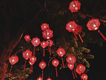 Illuminated red lanterns hanging on tree