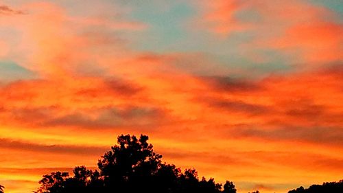 Low angle view of silhouette trees against dramatic sky