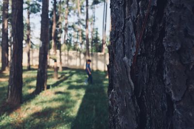 Side view of woman on trees in forest