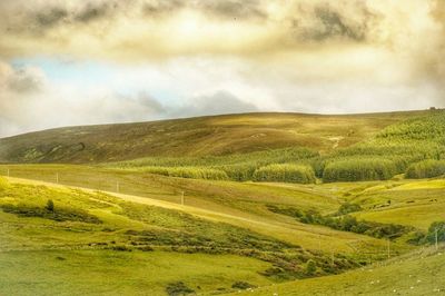 Scenic view of grassy field against cloudy sky