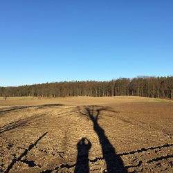 Trees on landscape against clear blue sky