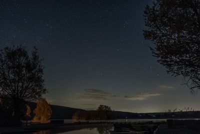 Low angle view of silhouette trees against sky at night