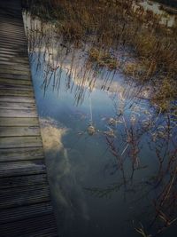 High angle view of puddle