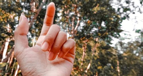 Close-up of human hand against tree