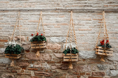 Flowering plants hanging against wall