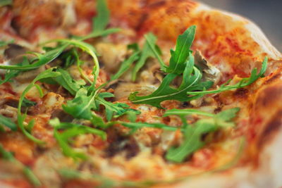 Close-up of pizza served in plate