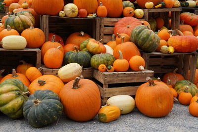 Pumpkins for sale at market stall