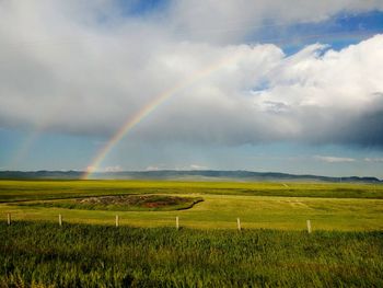 Scenic view of rainbow over field against sky
