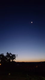 Silhouette trees against clear sky at night