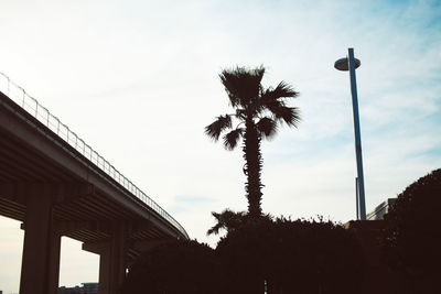 Low angle view of silhouette palm trees against sky