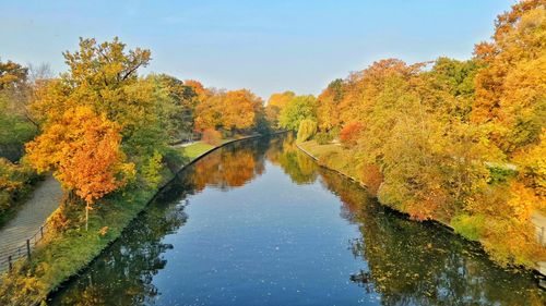 Reflection of trees on lake during autumn