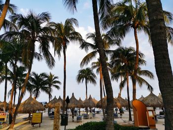 Panoramic view of palm trees on beach against sky