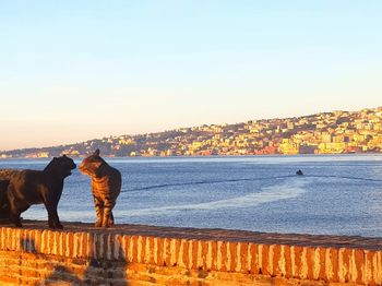 Man standing by sea against sky during sunset