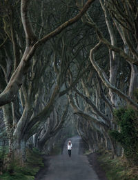 Rear view of woman walking amidst trees