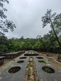 High angle view of road amidst trees against sky