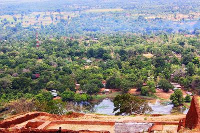 High angle view of lake in forest