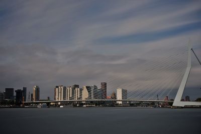 Erasmus brücke und skyeline rotterdam 