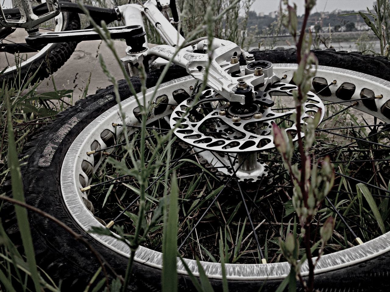 transportation, mode of transport, land vehicle, high angle view, built structure, architecture, building exterior, outdoors, day, metal, no people, plant, nature, parking, stationary, travel, city, water, car, bicycle