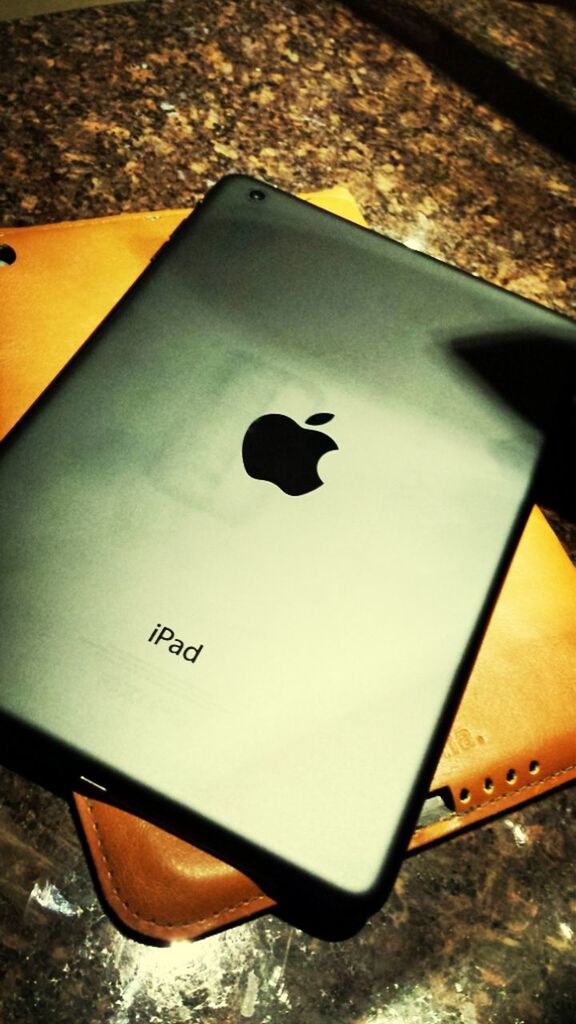 My toy~ ipad mini