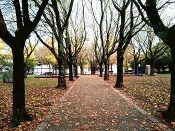 Footpath amidst trees in park during autumn