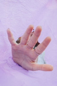 High angle view of person hand on pink petals