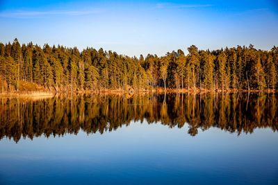 Reflection of trees in lake against sky