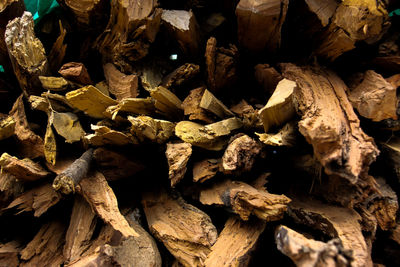 Full frame shot of logs in forest