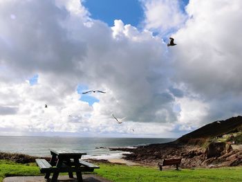 Seagulls flying over sea against sky