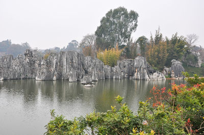 Scenic view of river by trees against clear sky