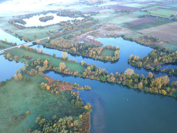 High angle view of lake and trees