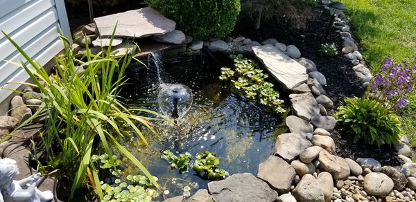 High angle view of snake on rock by water