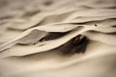 Full frame shot of sand