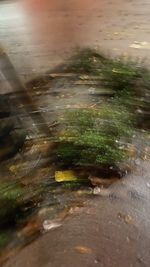 reflection