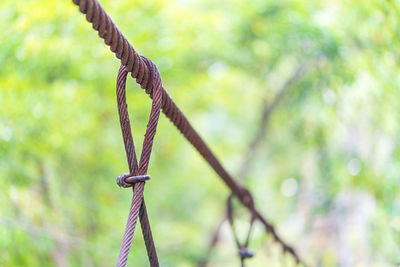 Close-up of rope on metal structure