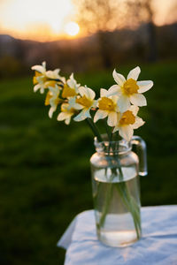 Close-up of flowers in vase on table