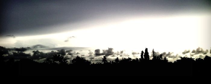 Silhouette trees against sky during sunset