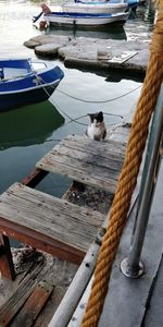 High angle view of boats moored in lake