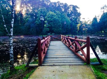 Wooden footbridge in forest