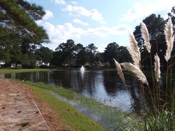 Scenic view of water in park against sky