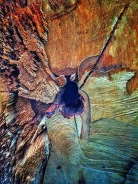 Full frame shot of tree trunk