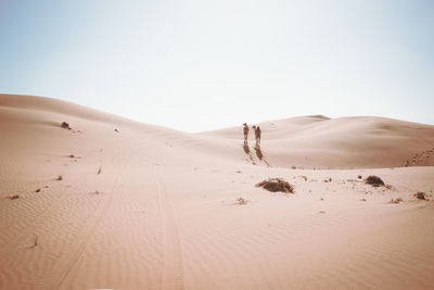 Desert wanderers